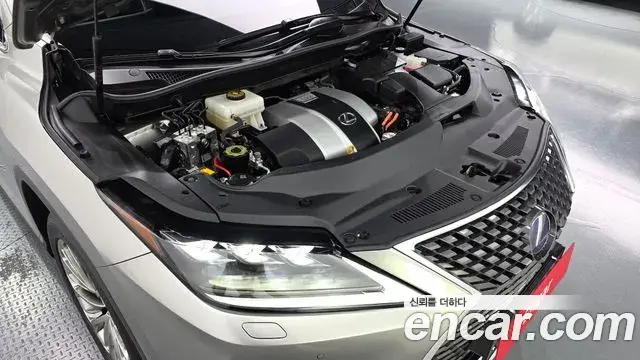 Lexus RX450h 2021 — Photo 14/20