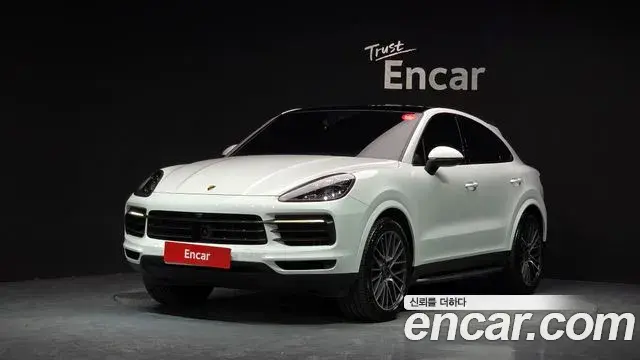 Porsche Cayenne 2020 — ფოტო 13/20