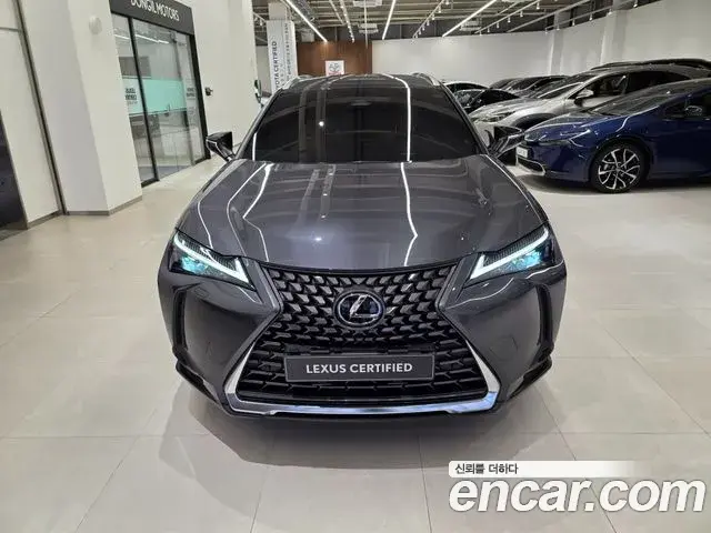 Lexus UX300h 2025 — Photo 14/15