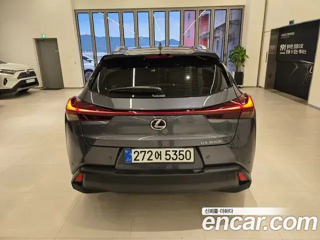 Lexus UX300h 2025 — Photo 4/15