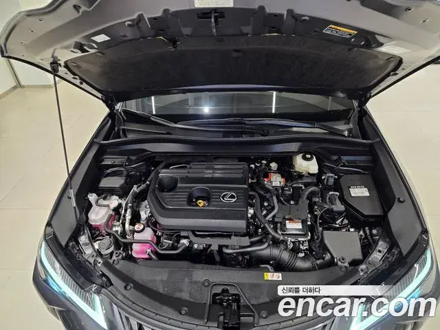 Lexus UX300h 2025 — Photo 9/15