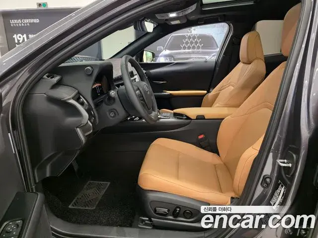 Lexus UX300h 2025 — Photo 5/15