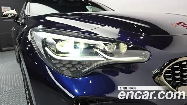 Kia Stinger Meister 2020 — ფოტო 27/30