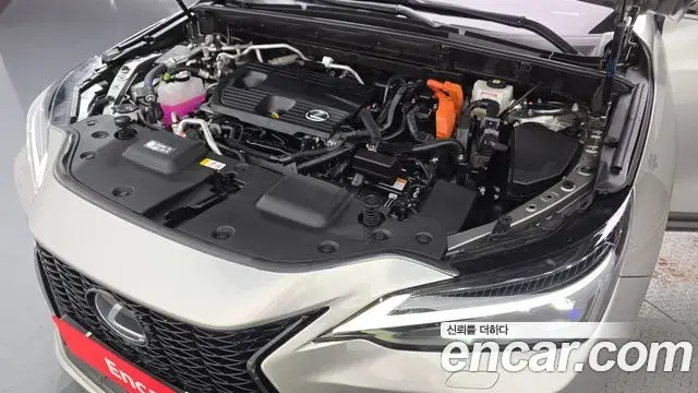 Lexus NX450h+ 2024 — Photo 16/37