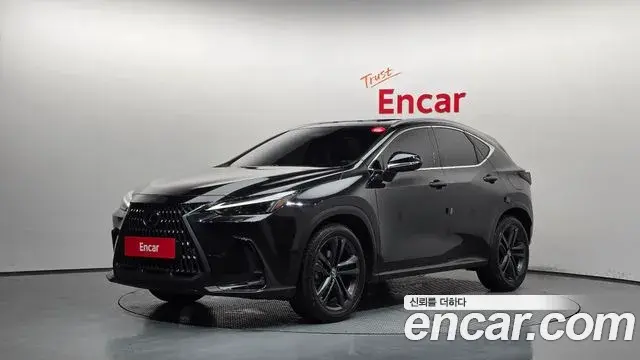 Lexus NX350h 2024 — Фото 9/20