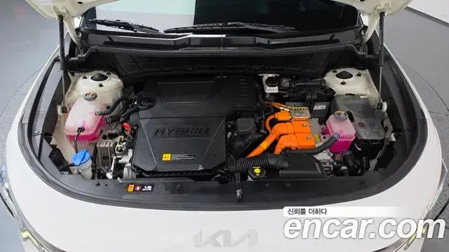 Kia Niro 2022 — Фото 6/20