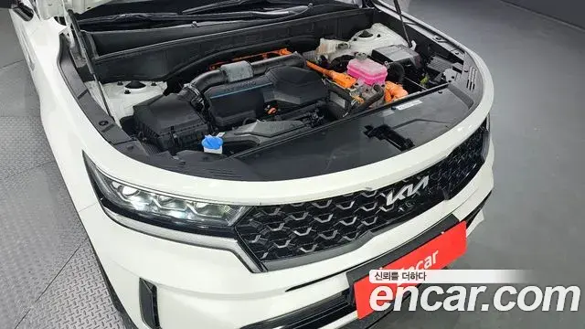 Kia Sorento 2023 — Фото 6/20