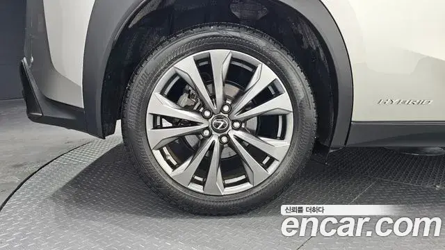 Lexus UX250h 2021 — Şəkil 19/30