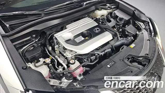 Lexus UX250h 2021 — Şəkil 2/30