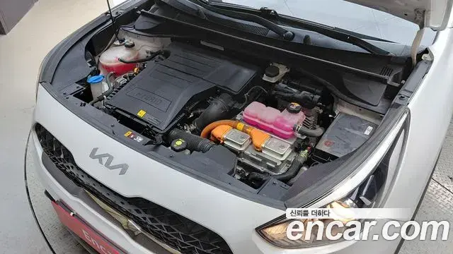 Kia Niro 2021 — Фото 6/20