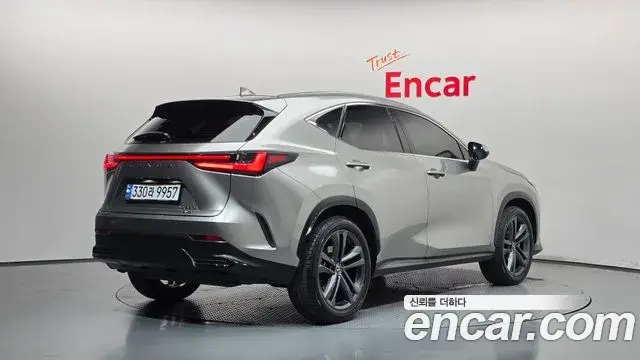 Lexus NX350h 2023 — Photo 24/34