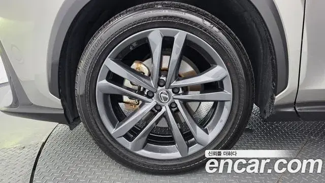 Lexus NX350h 2023 — Photo 10/34