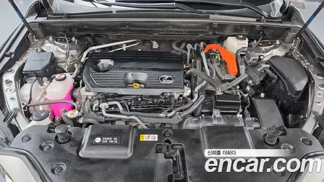 Lexus NX350h 2023 — Photo 28/34