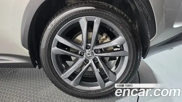 Lexus NX350h 2023 — Photo 16/34