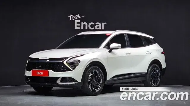 Kia Sportage 2024 — Фото 1/20