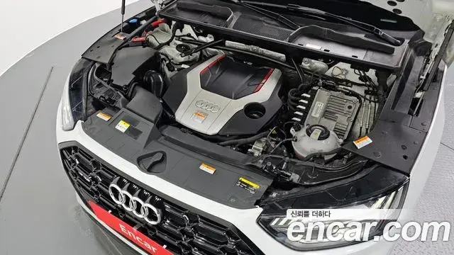 Audi SQ5 2021 — Şəkil 1/20