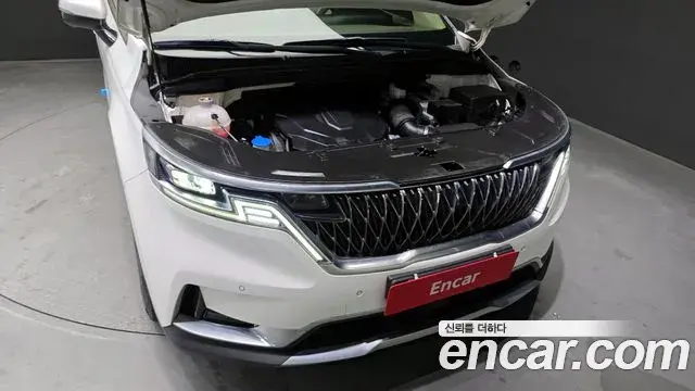 Kia Carnival 2020 — ფოტო 15/20