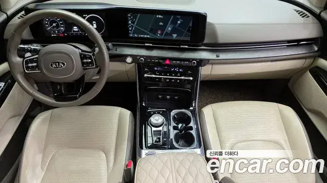 Kia Carnival 2020 — ფოტო 8/20