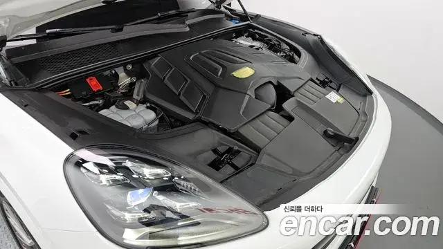 Porsche Cayenne 2023 — ფოტო 11/20