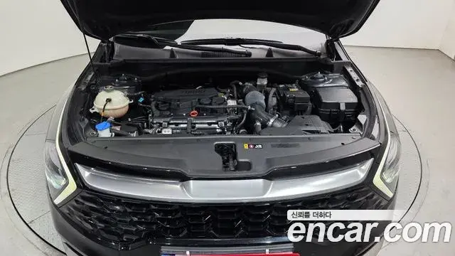 Kia Sportage 2021 — Photo 17/20