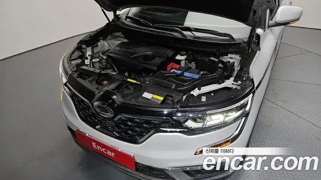 Renault Samsung QM6 2022 — ფოტო 11/20