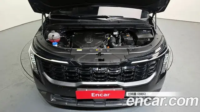 Kia Carnival 2023 — ფოტო 15/20