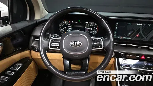 Kia Carnival 2020 — Фото 12/20