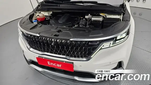 Kia Carnival 2020 — Фото 6/20