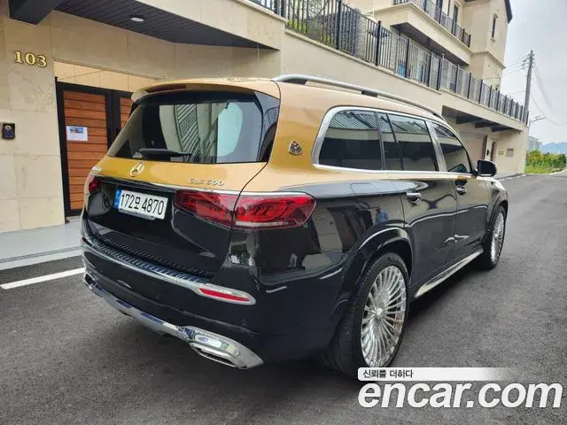 Mercedes-Benz GLS-Class 2021 — Photo 10/20