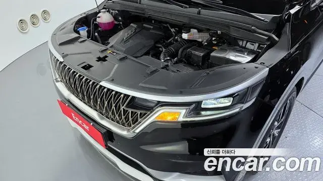 Kia Carnival 2023 — Фото 6/20