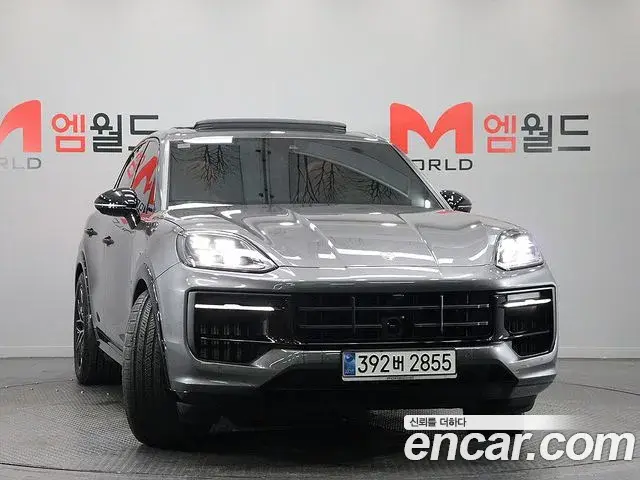 Porsche Cayenne 2025 — ფოტო 4/20