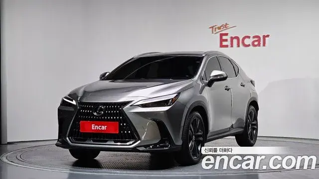 Lexus NX350h 2025 — ფოტო 24/35