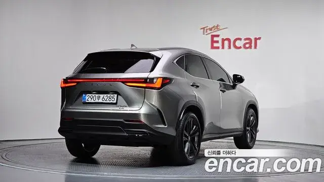 Lexus NX350h 2025 — ფოტო 17/35