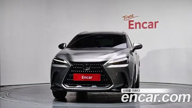 Lexus NX350h 2025 — ფოტო 1/35