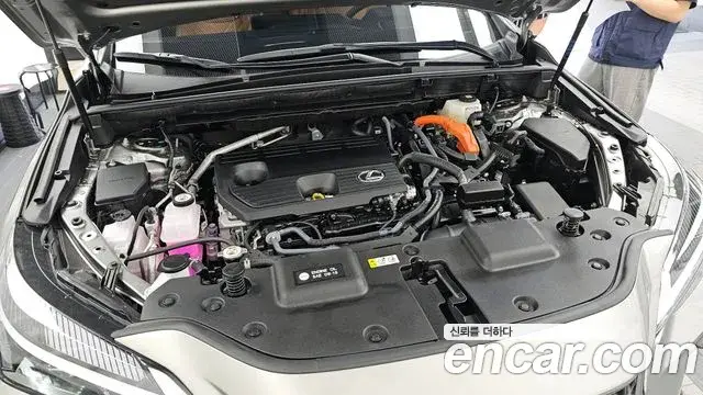 Lexus NX350h 2025 — ფოტო 28/35