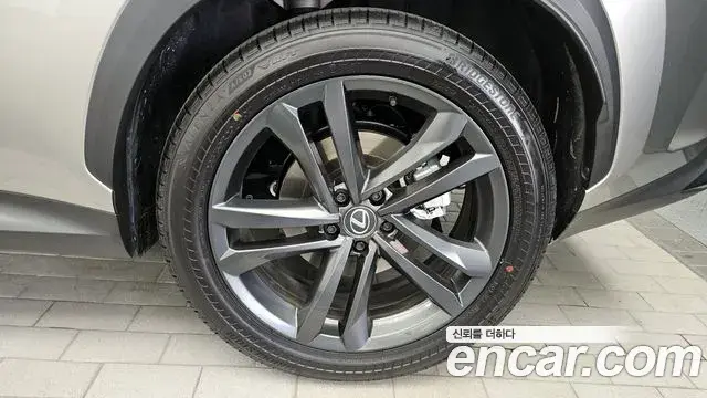 Lexus NX350h 2025 — ფოტო 12/35