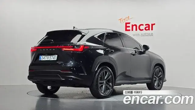 Lexus NX350h 2023 — Photo 30/31