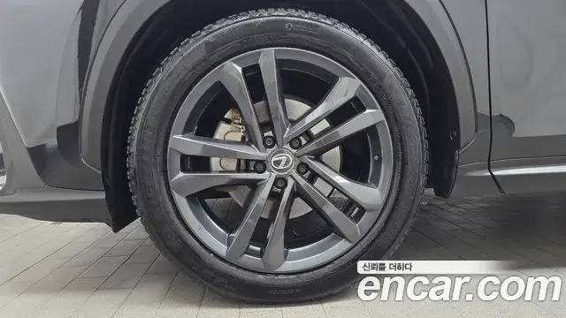 Lexus NX350h 2023 — Photo 31/31