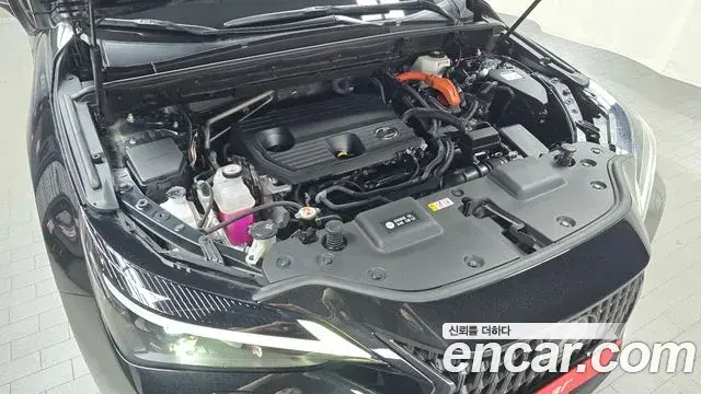 Lexus NX350h 2023 — Photo 23/31