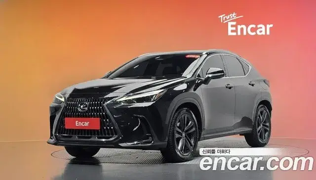 Lexus NX350h 2023 — Photo 11/31