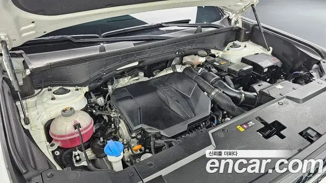 Hyundai Santa Fe 2024 — ფოტო 16/29