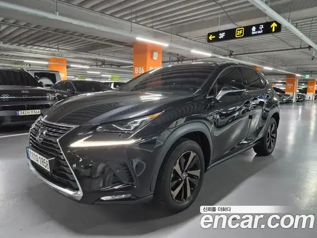 Lexus NX300h 2021 — Photo 1/20