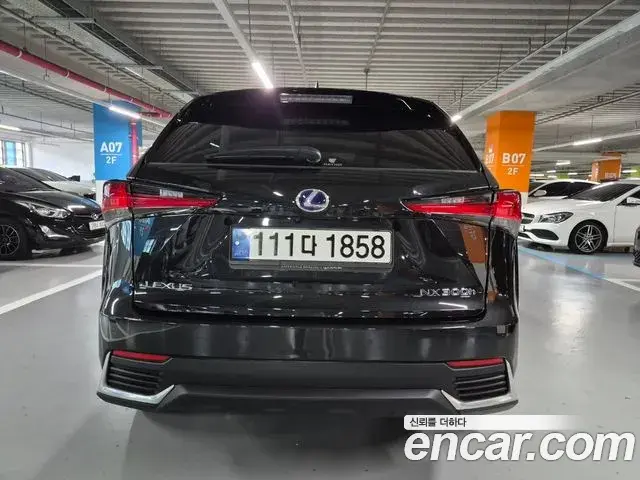 Lexus NX300h 2021 — Photo 12/20