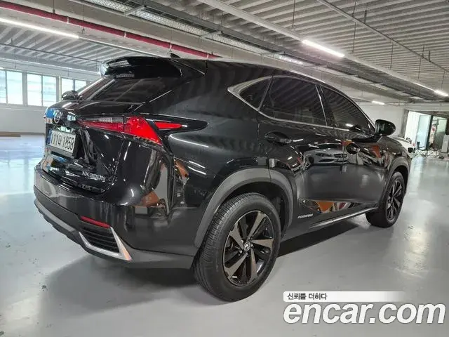 Lexus NX300h 2021 — Photo 11/20