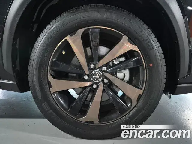 Lexus NX300h 2021 — Photo 13/20