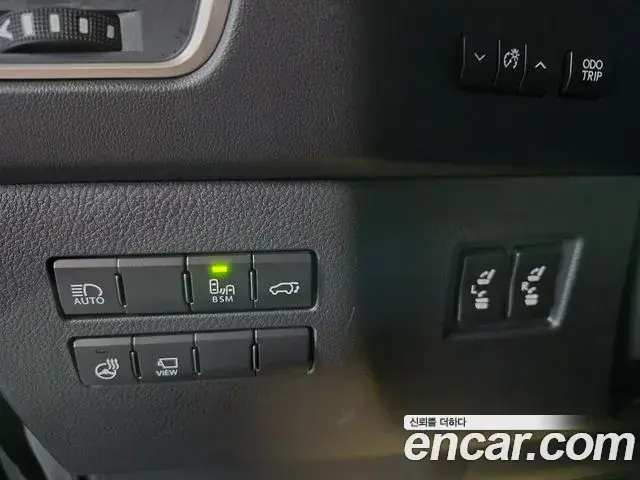 Lexus NX300h 2021 — Photo 19/20