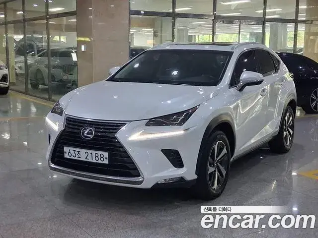 Lexus NX300h 2018 — Şəkil 20/20