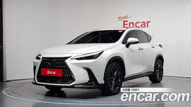 Lexus NX350h 2023 — Фото 1/20