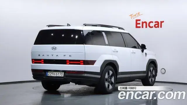 Hyundai Santa Fe 2024 — ფოტო 17/32