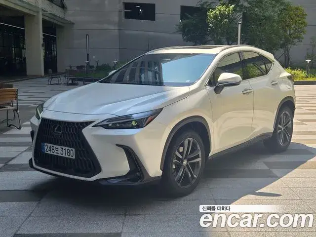 Lexus NX350h 2025 — Photo 20/20